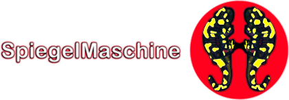 Logo Spiegelmaschine
